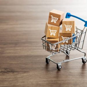 Job Search Professional Bundle